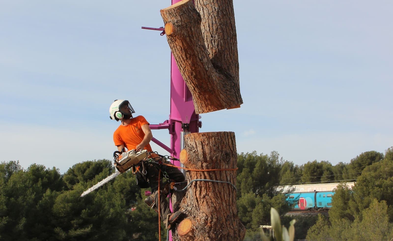 ARBO PACA | Spécialiste en élagage et abattage d&rsquo;arbres