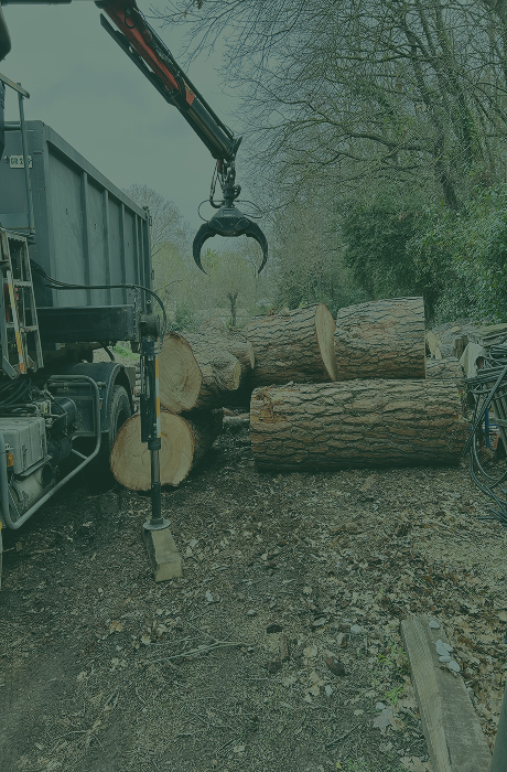 Évacuation et  transport des déchets